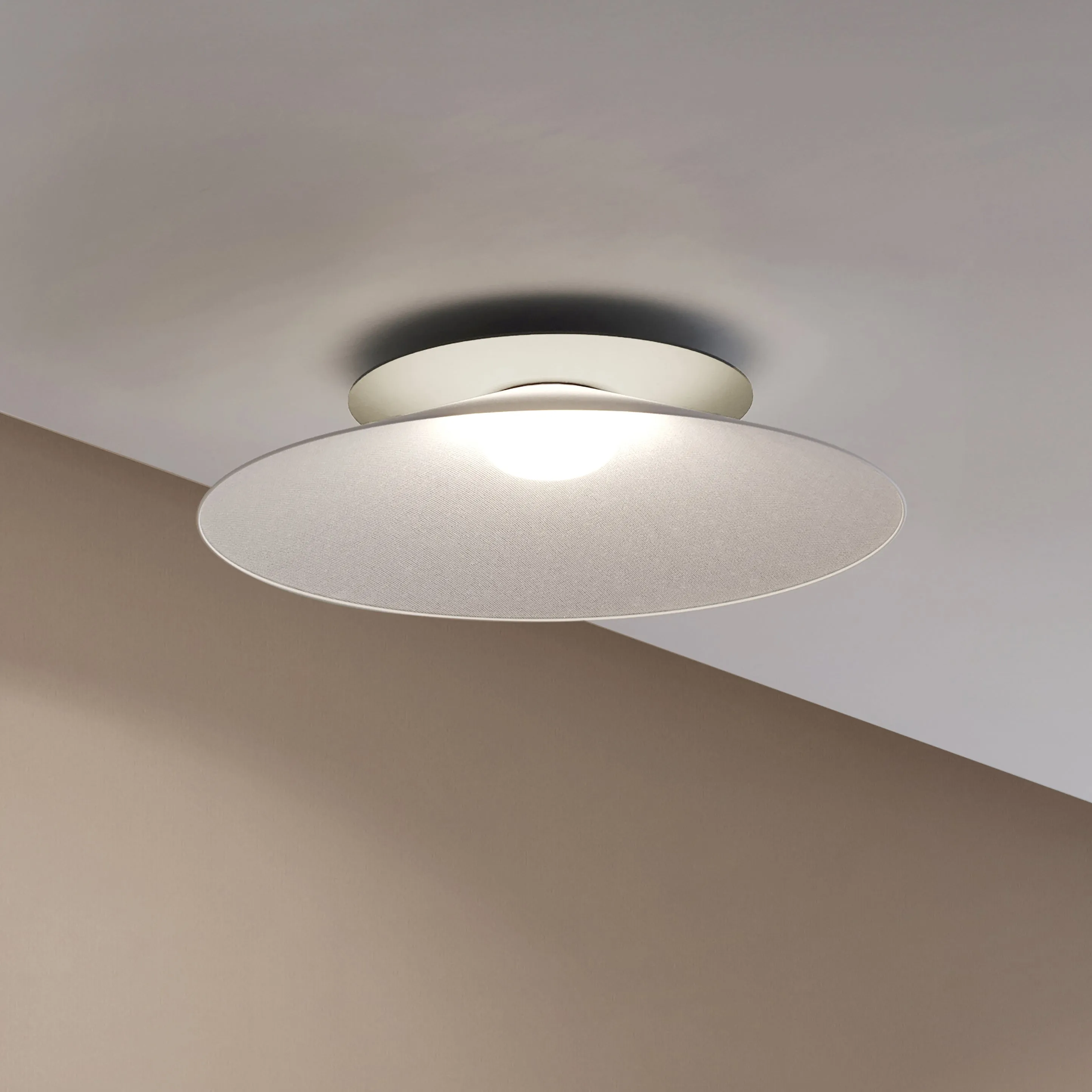Asia Wall/Ceiling Light