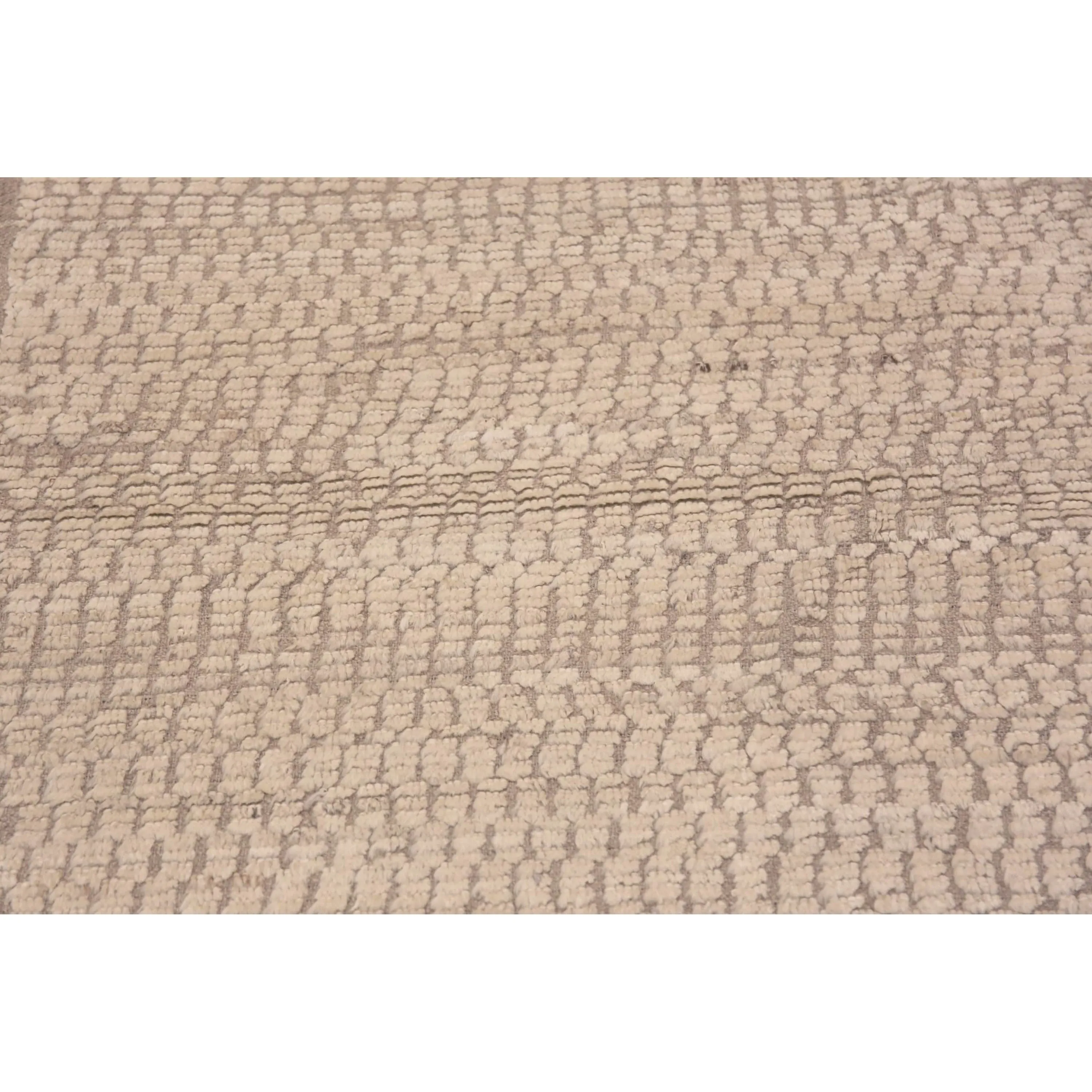 Beige Zameen Transitional Wool Runner - 3'4" x 9'5"