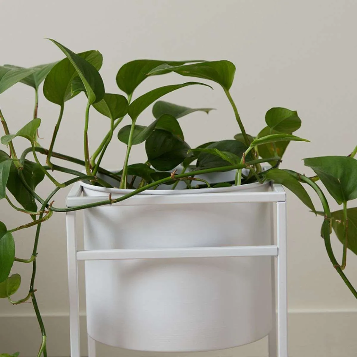 Brent Metal Plant Stand White - Short Mocka