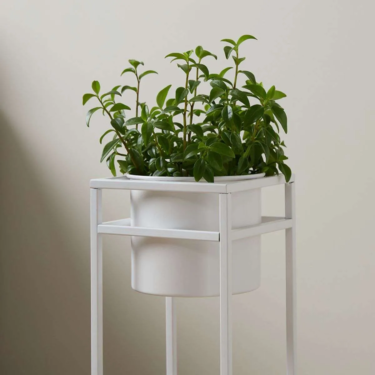 Brent Metal Plant Stand White - Short Mocka
