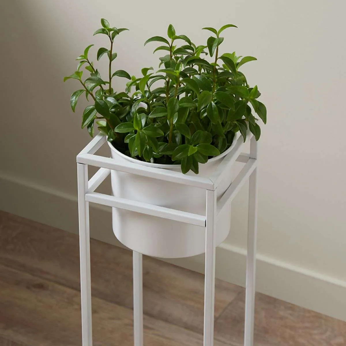 Brent Metal Plant Stand White - Short Mocka