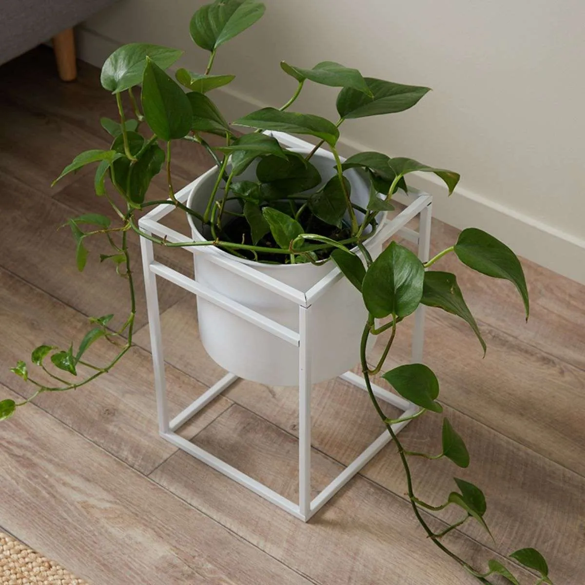 Brent Metal Plant Stand White - Short Mocka
