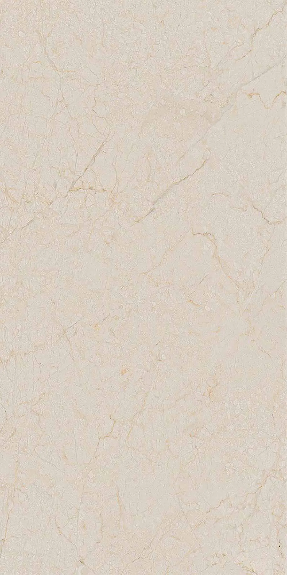 Cream-R Dune Stone Effect Porcelain Tile 60x120cm Matt