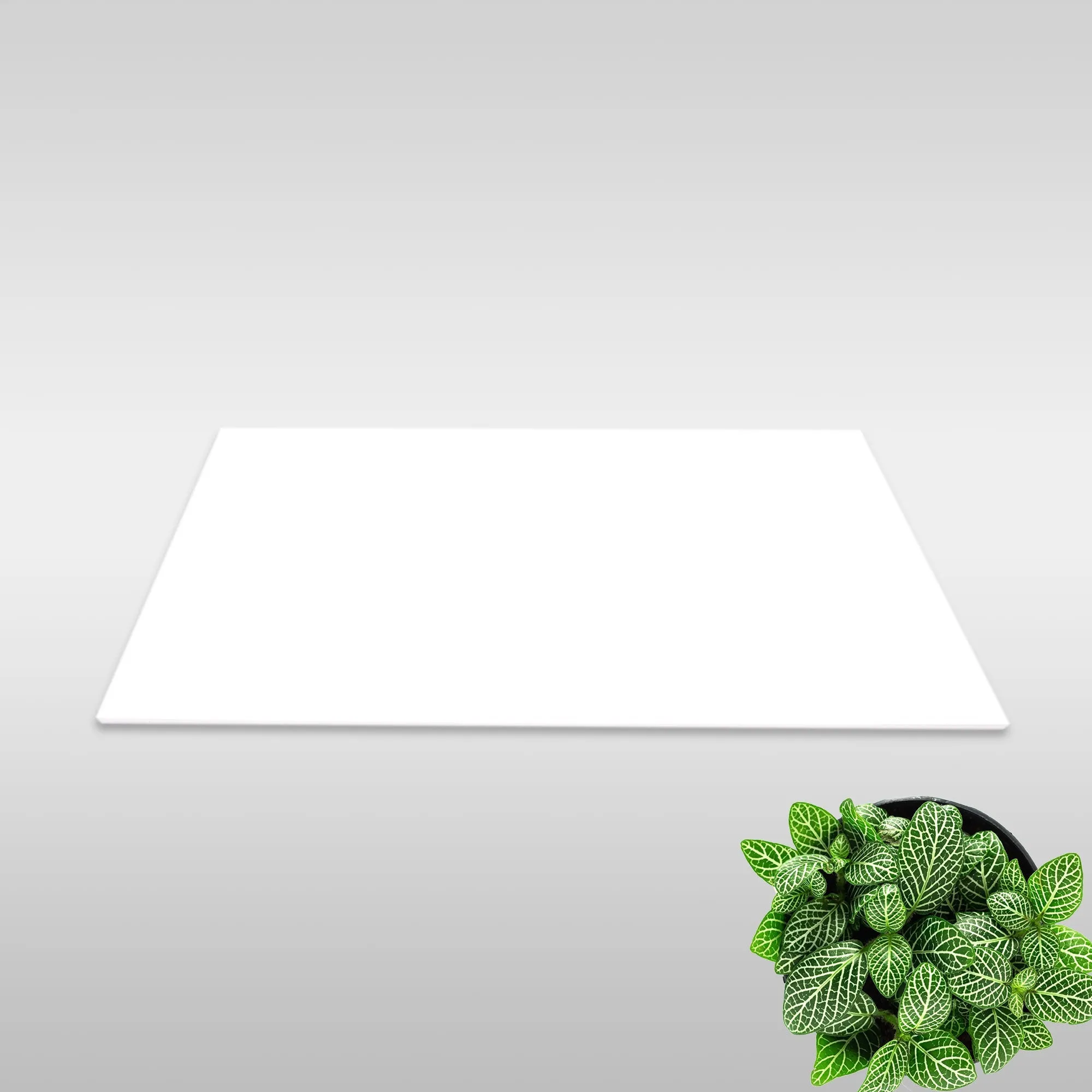 Deluxe Matt White Rectified Wall Tile 30x60cm