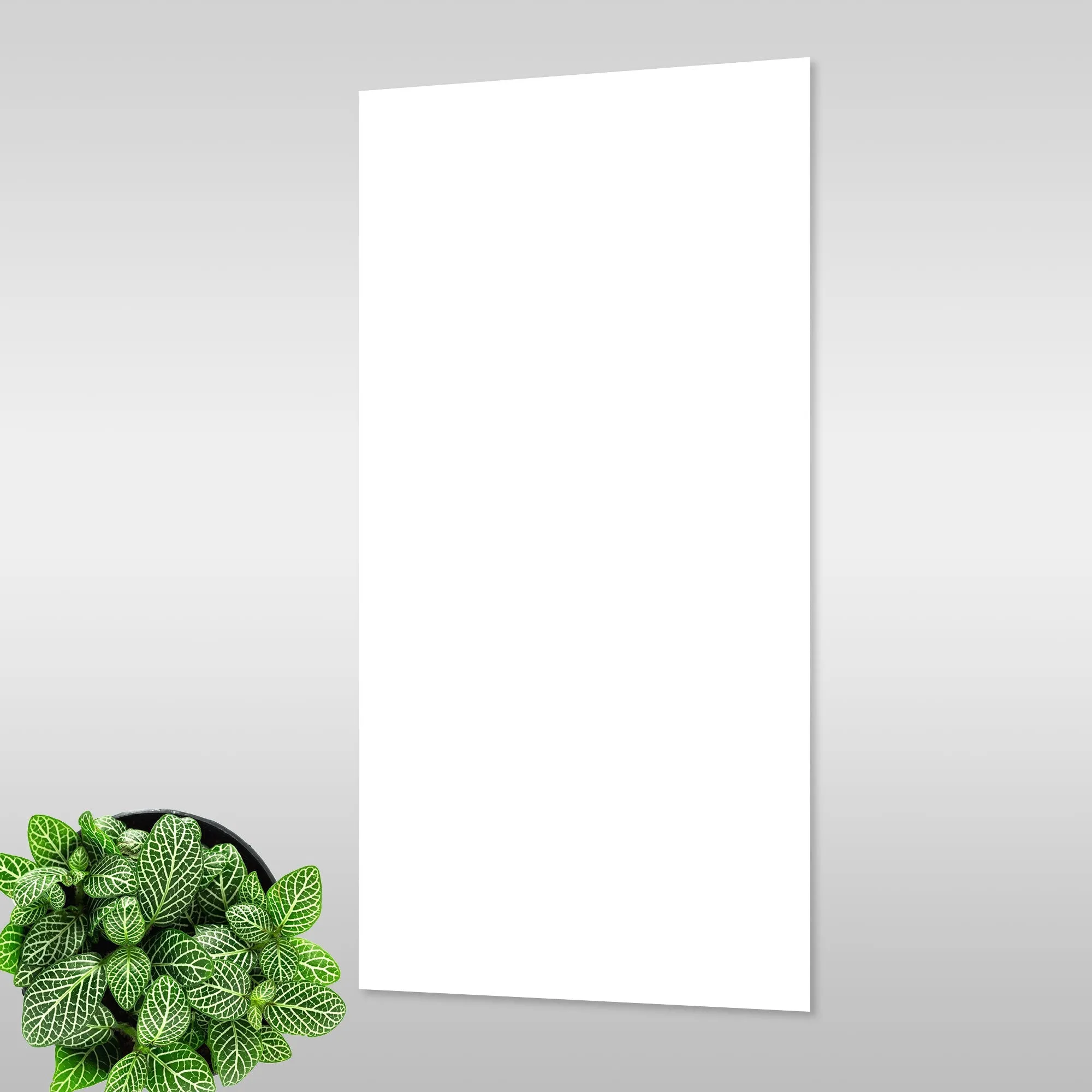 Deluxe Matt White Rectified Wall Tile 30x60cm