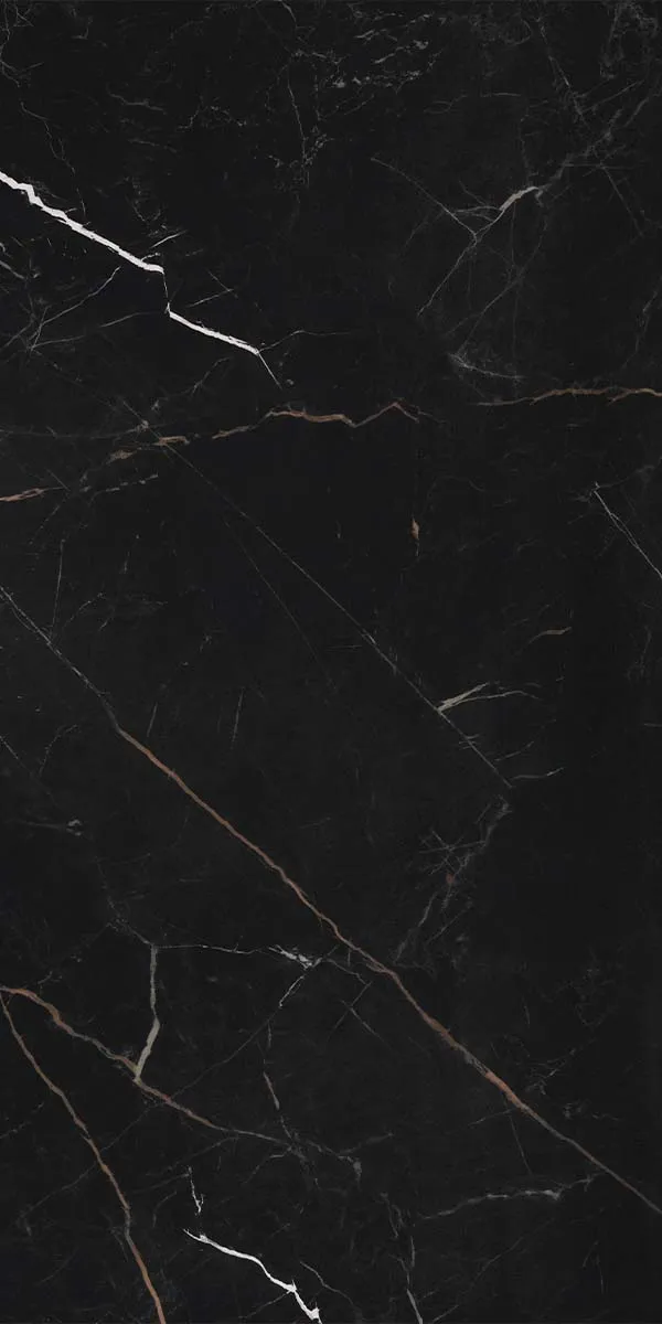Florentina Marble Venice Black 3D Honed Porcelain Tile 60x120cm
