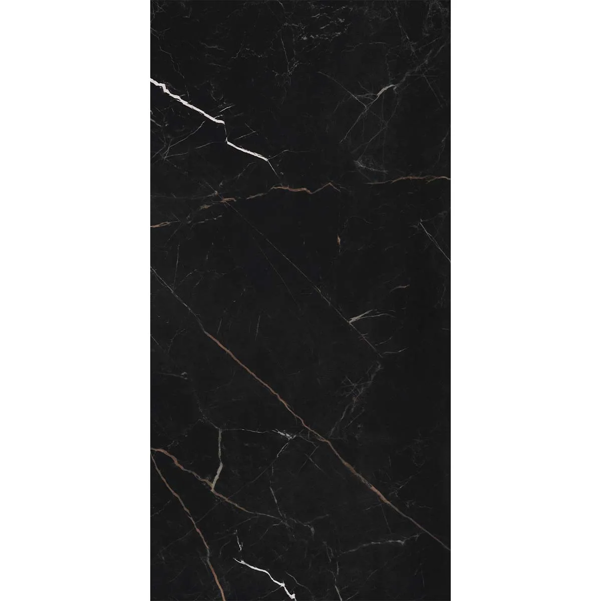 Florentina Marble Venice Black 3D Honed Porcelain Tile 60x120cm