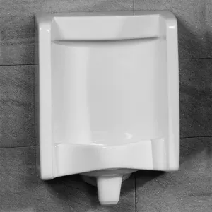Florida Urinal Bowl with Back Inlet - Gloss White