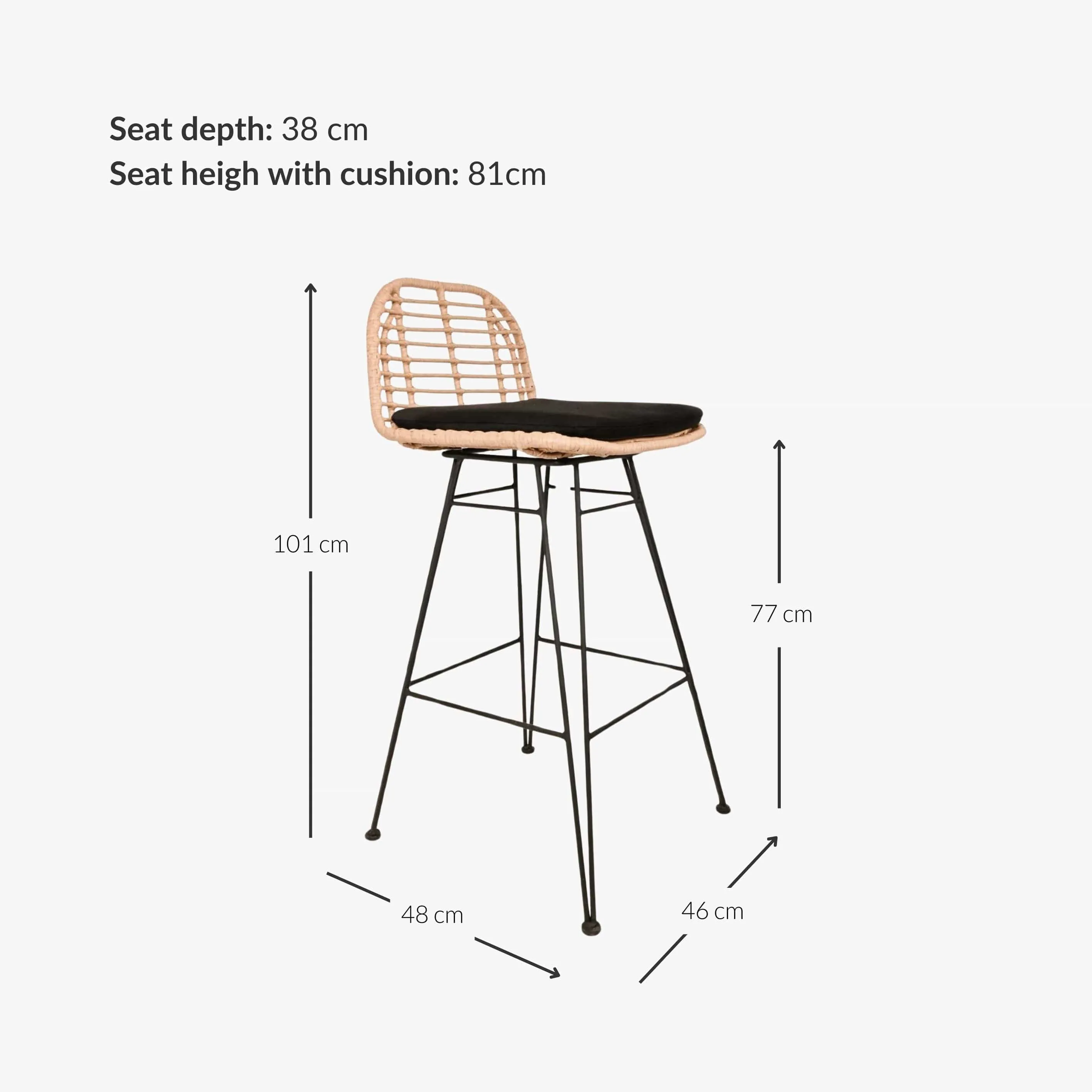 Jaipur Bar Stool | Black Zoco Home