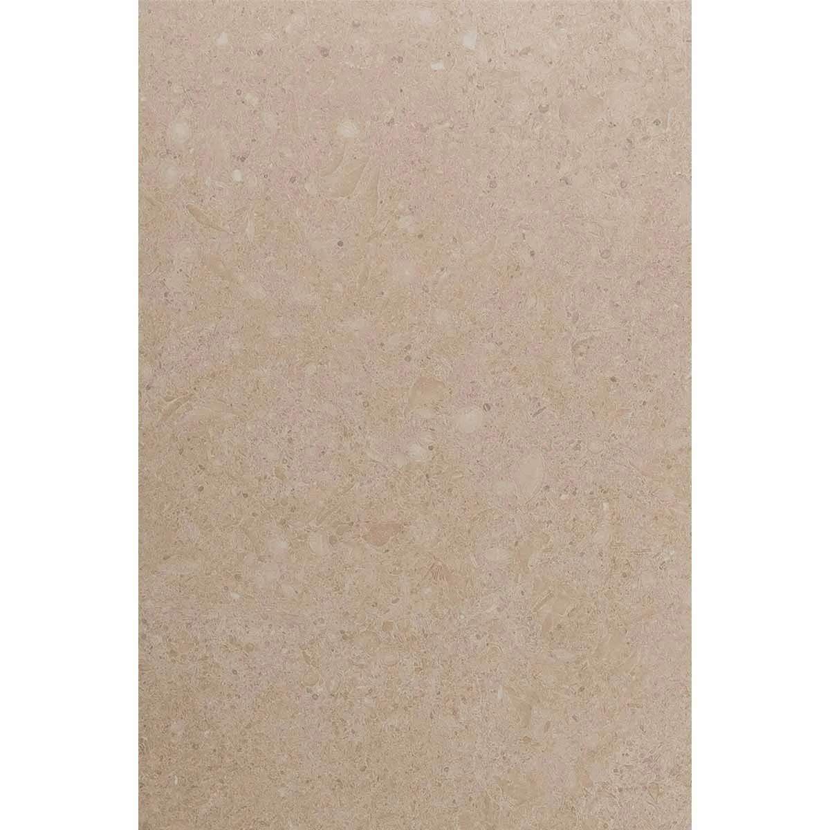 Juliette Bone 20mm Concrete Effect Outdoor Porcelain Tile 60x90cm Matt