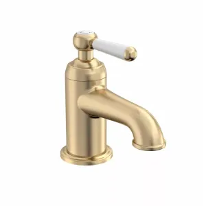Lansdown Mini Mono Basin Mixer with Click-Clack Waste