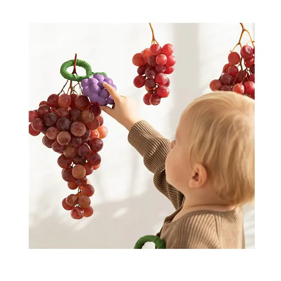 Oli & Carol Grape Rattle Toy & Teether