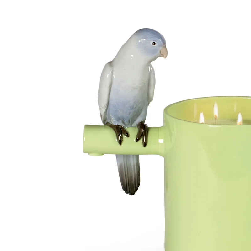 Parrot's Scented Treasure Candle
