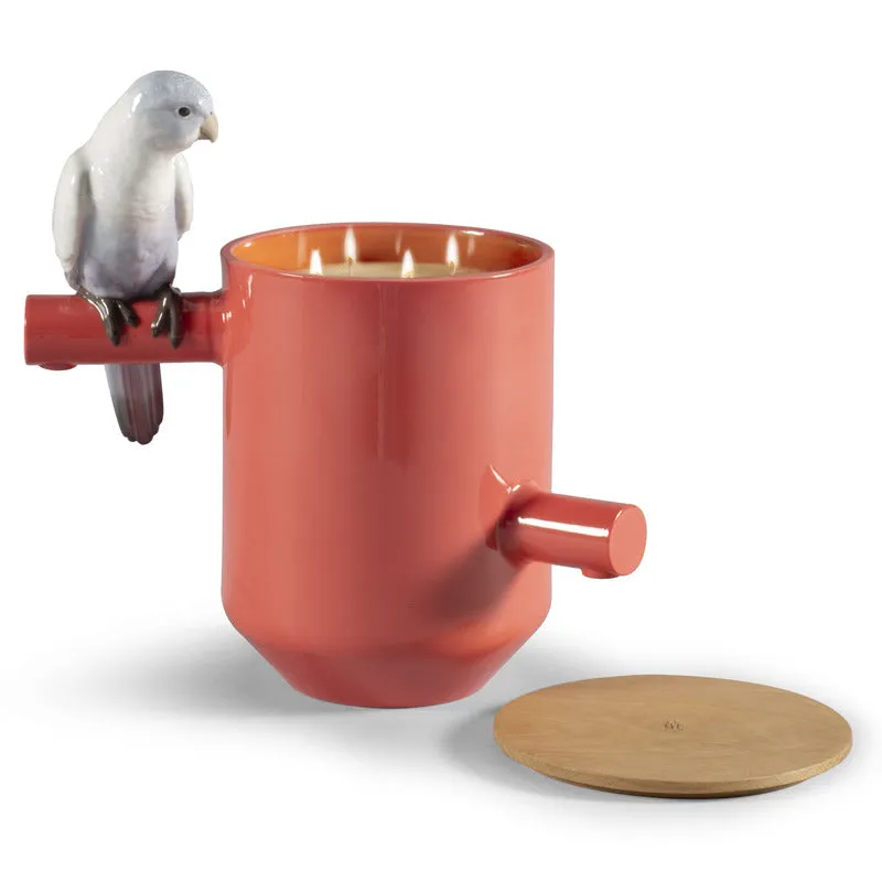 Parrot's Scented Treasure Candle